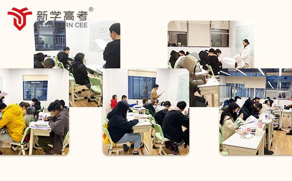 资阳艺考生文化课补习选择指南 注意要点与培训机构利弊分析